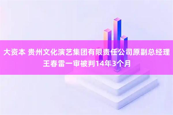 大资本 贵州文化演艺集团有限责任公司原副总经理王春雷一审被判14年3个月
