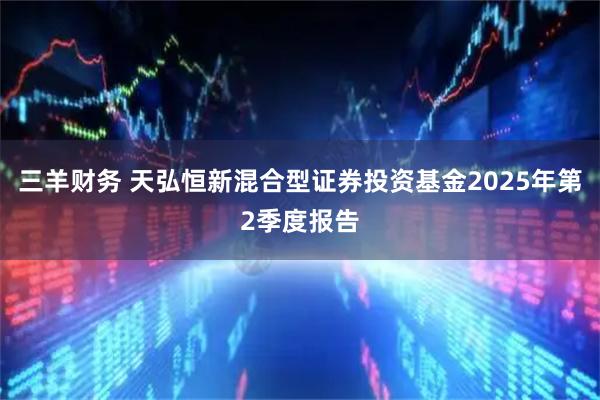 三羊财务 天弘恒新混合型证券投资基金2025年第2季度报告