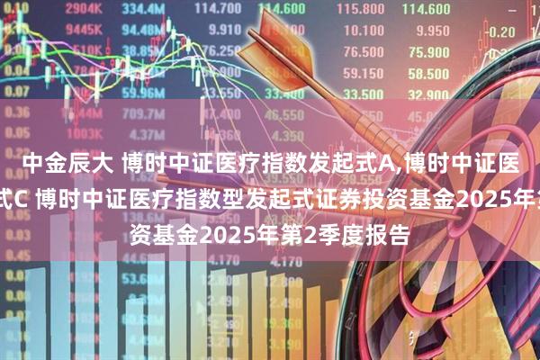中金辰大 博时中证医疗指数发起式A,博时中证医疗指数发起式C 博时中证医疗指数型发起式证券投资基金2025年第2季度报告