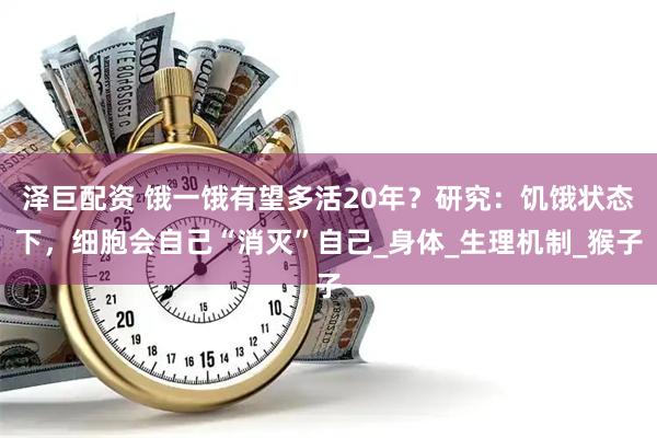 泽巨配资 饿一饿有望多活20年？研究：饥饿状态下，细胞会自己“消灭”自己_身体_生理机制_猴子