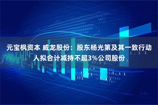 元宝枫资本 威龙股份：股东杨光第及其一致行动人拟合计减持不超3%公司股份