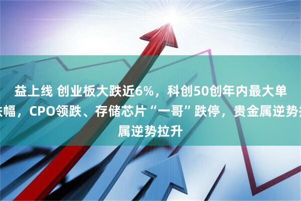 益上线 创业板大跌近6%，科创50创年内最大单日跌幅，CPO领跌、存储芯片“一哥”跌停，贵金属逆势拉升